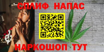 спиды Малгобек