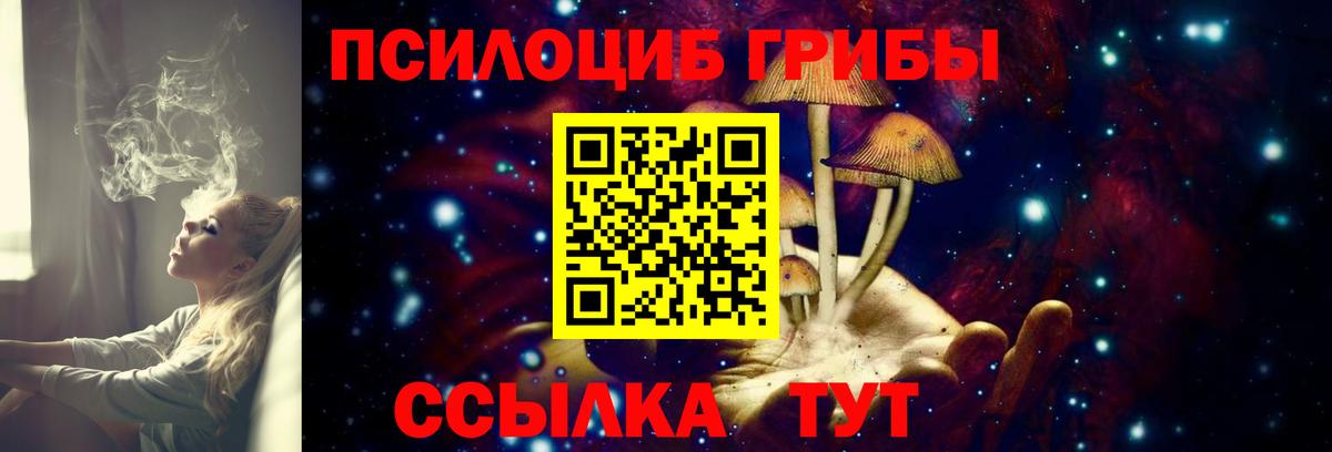 Добрянка  Псилоцибиновые грибы GOLDEN TEACHER  Вход с VPN  Псилоцибиновые грибы мицелий 